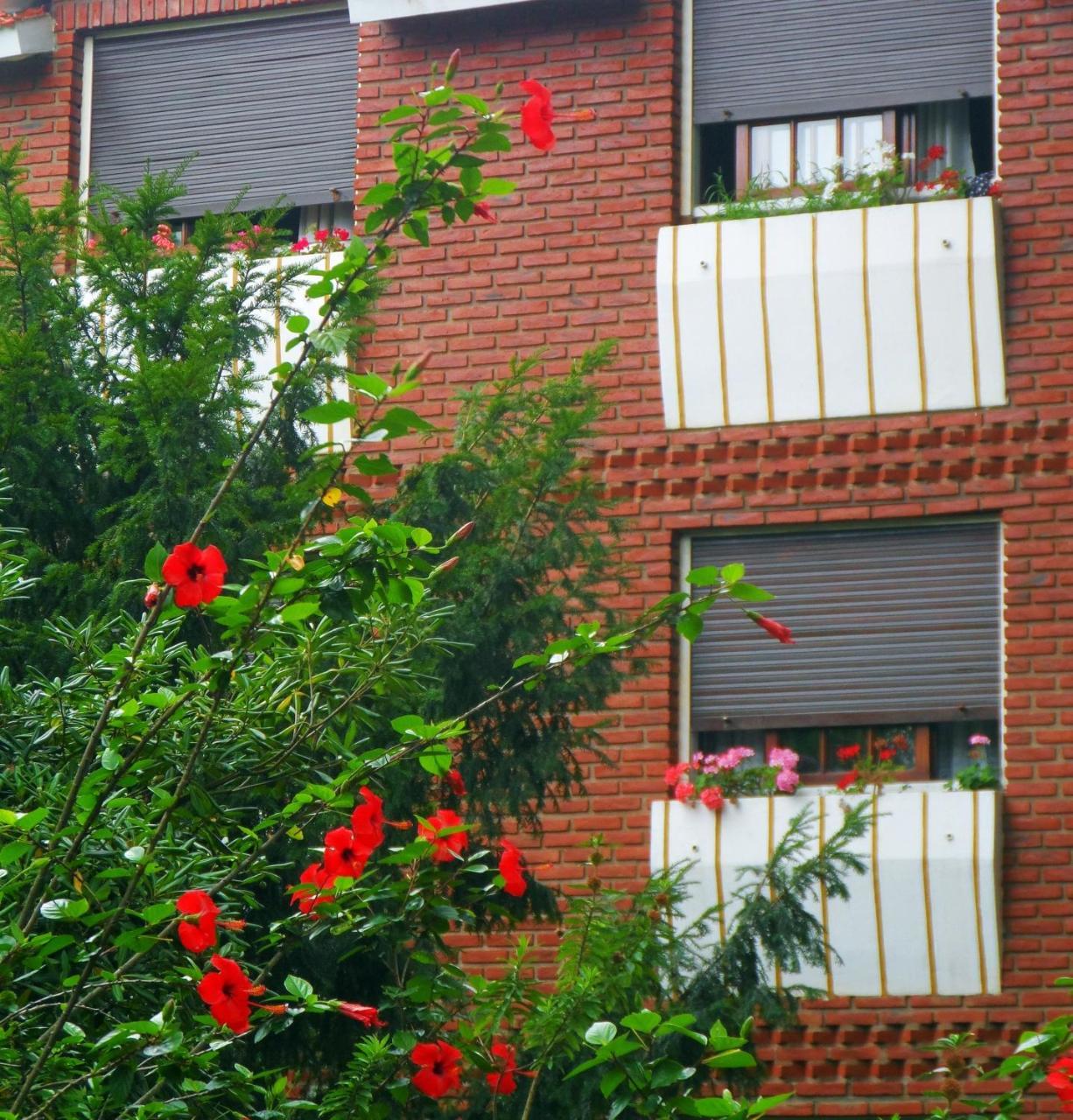 Hotel Eo Park San Clemente del Tuyu Ngoại thất bức ảnh
